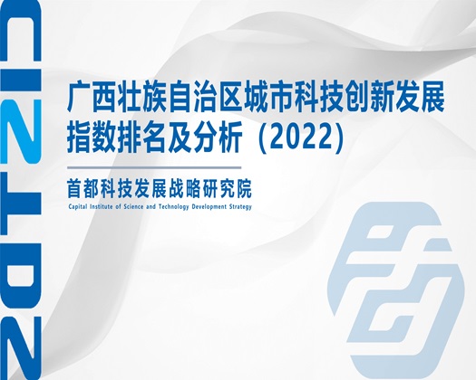 大鸡巴操白虎逼视频【成果发布】广西壮族自治区城市科技创新发展指数排名及分析（2022）